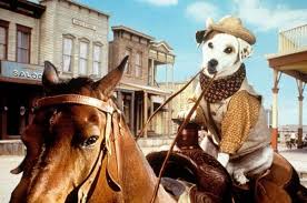 The Most Beloved Animals And Pets On Tv Animals Pets Jack Russell