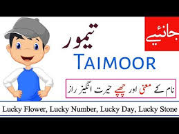 Taimoor Name Meaning In Urdu Taimoor Naam Ka Matlab Kya Hota Hai Names Center Youtube In 2020 Names With Meaning Meant To Be Muslim Boy Names