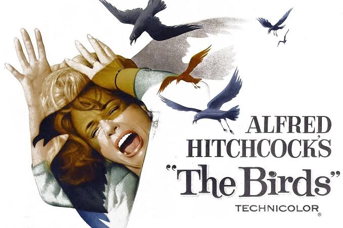 The Birds' ending is terrifying because it doesn't explain anything