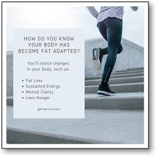 Ppar Fat Adapted Energy (How Long Does It Take) 2024 - Bellyproof