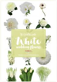See more ideas about wedding flowers, july wedding flowers, wedding. White Wedding Flowers Guide Types Of White Flowers Names Pics