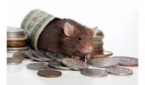 Spiritual Rats Money Spells And Short Boys Call 27630716312 Mamaalphah Southafrica Money Spells Luck Spells Real Love Spells