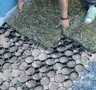 Grass Reinforcement Grid Pavers are the Best Low-Traffic ...