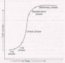 A) animal cell lack rigid cell wall. Types Of Plant Culture Callus Culture Suspension Culture Batch Culture Mcq For Dbt Bet Gpat Gate Csir Net Gpatindia Pharmacy Jobs Admissions Scholarships Conference Grants Exam Alerts