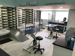 Listed above you'll find some of the best hair cuts coupons, discounts and promotion codes as ranked by the users of retailmenot.com. Dog Grooming Salons Near Me Cheaper Than Retail Price Buy Clothing Accessories And Lifestyle Products For Women Men