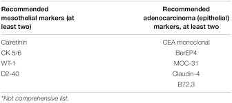 Adenocarcinoma cancers being usually in one of the following organs: Frontiers The Use Of Immunohistochemistry Fluorescence In Situ Hybridization And Emerging Epigenetic Markers In The Diagnosis Of Malignant Pleural Mesothelioma Mpm A Review Oncology
