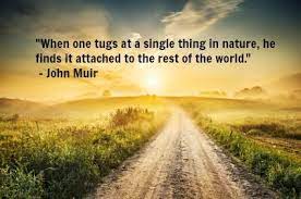 Pin On Quotes