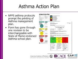 The asthma action plan may be based on symptoms and/or peak expiratory flow (pef) measurements and is individualised according to the pattern of the person's asthma. Maine Aap Shared Vision For Asthma Quality Improvement We Can Get There From Here Amy Belisle Md Cmmc Barbara Chilmoncyzk Md Mmc Michael Ross Ppt Download