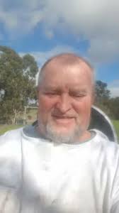 T&V Bees Vladimir Prokopenko