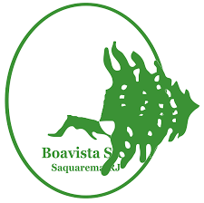 Boavista sport club page on flashscore.com offers livescore, results, standings and match details (goal scorers, red cards Boavista Sport Club Desciclopedia