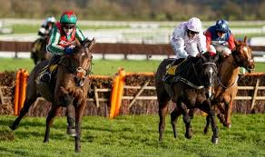 Get the cheltenham festival 2021 expert tips for all 28 festival races, insider jockey naps, gold cup day make the most of this year's cheltenham festival with free tips, race results, weather updates. 7mytnpo3qc566m