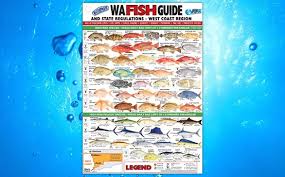 Buy Afn Canvas Fish Guide Western Australia 30cm Online