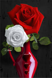 Sign In Beautiful Rose Flowers Beautiful Flowers Wallpapers Rose Flower