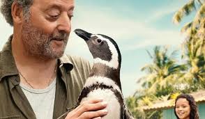 Mon Ami le petit manchot