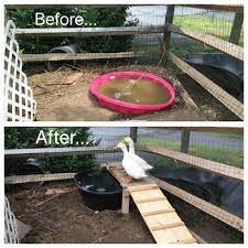 Diy Duck Pond With Ramp And Platform Made From Pallets All For Under 50 Backyard Ducks Duck Coop Duck Farming