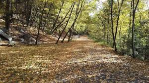 The national weather service has confirmed that the tornado warned thunderstorm that moved over poe valley state park in centre county on july 11th, 2021 produced a microburst, not a tornado. Best Trails In Poe Valley State Park Pennsylvania Alltrails