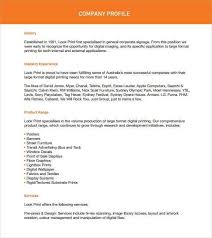 Company Profile Sample 6 Company Profile Template Company Profile Words