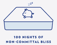 14 Akshay Sees The 100 Day Return Policy And Figures That There S Nothing To Lose And Promptly Orders A Full Size Bed Based On The Size Guide Option On The