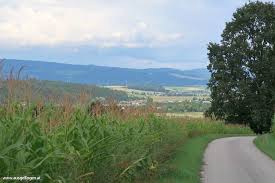 Wer lieber flussabwärts radelt und der ybbs richtung donau folgt, nimmt am besten die ausfahrt amstetten ost auf der a1 und folgt dann der l89 bis purgstall an der erlauf. Am Ybbstalradweg Teil 2 Von Waidhofen Bis Ybbs An Der Donau