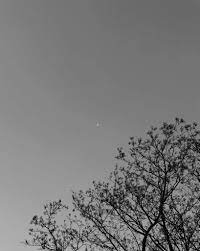 Aesthetic black and white desktop wallpaper. Black White Aesthetics Exploration Aesthetic Amino