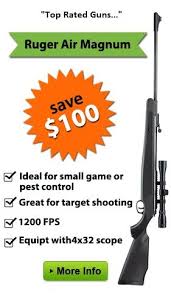 Air guns are great for pest control. Pin On Hobbies8