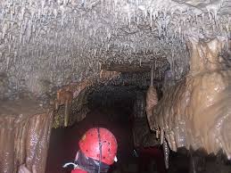 The cave was discovered by martin cangár and jiri prosek in 1954 and opened to the public in 1972. Kostenloses Foto Tropfsteinhohle Hohle Aggtelek Hugel Natur Hippopx