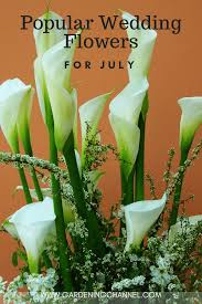 Ensure your guests rsvp to your special day with zazzle's amazing selection of rsvp cards. Popular Wedding Flowers For July Gardening Channel