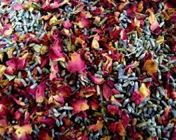We did not find results for: Dried Flower Toss Etsy