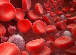 I leucociti o globuli bianchi rappresentano la principale difesa del sistema immunitario. Leucocite Crescute In Sange Cauze