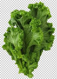 In order to buy collard greens, you need to know what you are looking for. Brassica Juncea Vegetable Mustard Collard Greens Png Clipart Brassica Juncea Broccoli Cabbage Cabbage Family Eruca Sativa