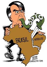 Mostra de charges sobre Bolsonaro retirada da Câmara de Porto ...