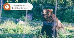 Counter assault bear spray is. What S The Best Bear Spray In 2021