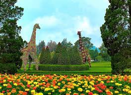 Taman bunga nusantara adalah objek wisata yang letaknya dekat dengan jakarta. 8 Taman Bunga Cantik Di Indonesia Ini Instagramable Banget