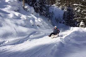 It is not listed within the top 1000 names. Rodel Schmarrn Bavarian Sledding Cooking Demonstration Marriott