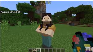 Go into the plugin config and delete all current npc's that are spawned (shut go to your agent in minecraft and equip him with blocks. Intro To Minecraft Education Edition Features Youtube