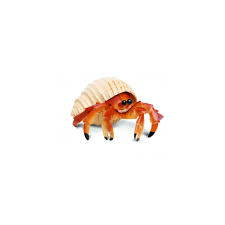 Pvc vertical blind slats pvc polyvinyl chloride manufacturers pvc new product pvc building material pvc packing material pvc waterproof material pvc wood plastic pvc construction material pvc wooden door pvc wood door more. Crab Replicas Best Image