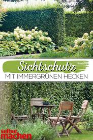 Sichtschutz Der Mitwachst So Findest Du Die Richtige Sichtschutzhecke Hecke Gartengestaltung Hecke Pflanzen