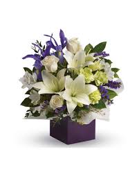 Looking to send flowers to sydney or melbourne, 1800giftportal facilitates your flower delivery in any corner of the world on a day of your choice, even if our loved ones are far away from us. Graceful Beauty Flower Delivery Southport Same Day Florist Delivery Flowers Of Southport