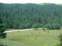 Check spelling or type a new query. Kunduz Dagi Turizm Haritasi