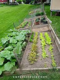 25 Vegetable Garden Ideas For Any Size Space Empress Of Dirt In 2020 Sloped Garden Vegetable Garden Design Small Backyard Gardens