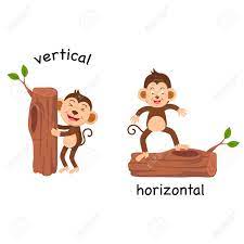 Find 118 opposite words and antonyms for horizontal based on 5 separate contexts from our need antonyms for horizontal? Opposite Vertical And Horizontal Vector Illustration Royalty Free Cliparts Vectors And Stock Illustration Image 100429302