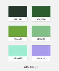 #69ffca hex color for the web has the rgb values of 105, 255, 202 and the cmyk colour values of 58.8, 0, 20.8, 0. Black Dark Olive Green Olive Drab Dark Sea Green Aquamarine Light Sky Blue Color Combinations Palette Color Palette Ideas