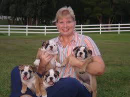 We have 2 litters of english due in april, 3 in may and 2 in june. Who We Are Impressive Bulldogs