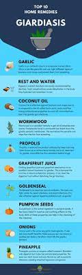 Another pest control tip when it comes to cleaning and repairs is to eliminate water sources for pests. 17 Natural Home Remedies For Giardia How To Treat Giardia At Home