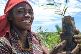 Home is where the forest is