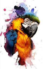 Watherworks Parrots Art Animal Paintings Wildlife Art