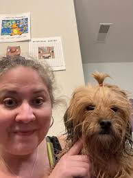 Katie & Biscuit went to the groomers today.