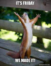 It S Friday We Made It Happy Squirrel Make A Meme