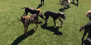 Through regular veterinary care, exercise, and quality nutrition, we will partner with you to ensure your pet. The Pet Hospital Of Madison Featured Project Foreverlawn Inc