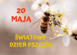 To święto ustanowione przez organizację narodów zjednoczonych (onz). 20 Maja Swiatowy Dzien Pszczol Aktualnosci Gmina Lubiszyn